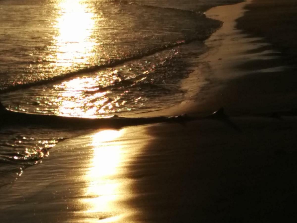 6 Seatown, Lossiemouth ภายนอก รูปภาพ